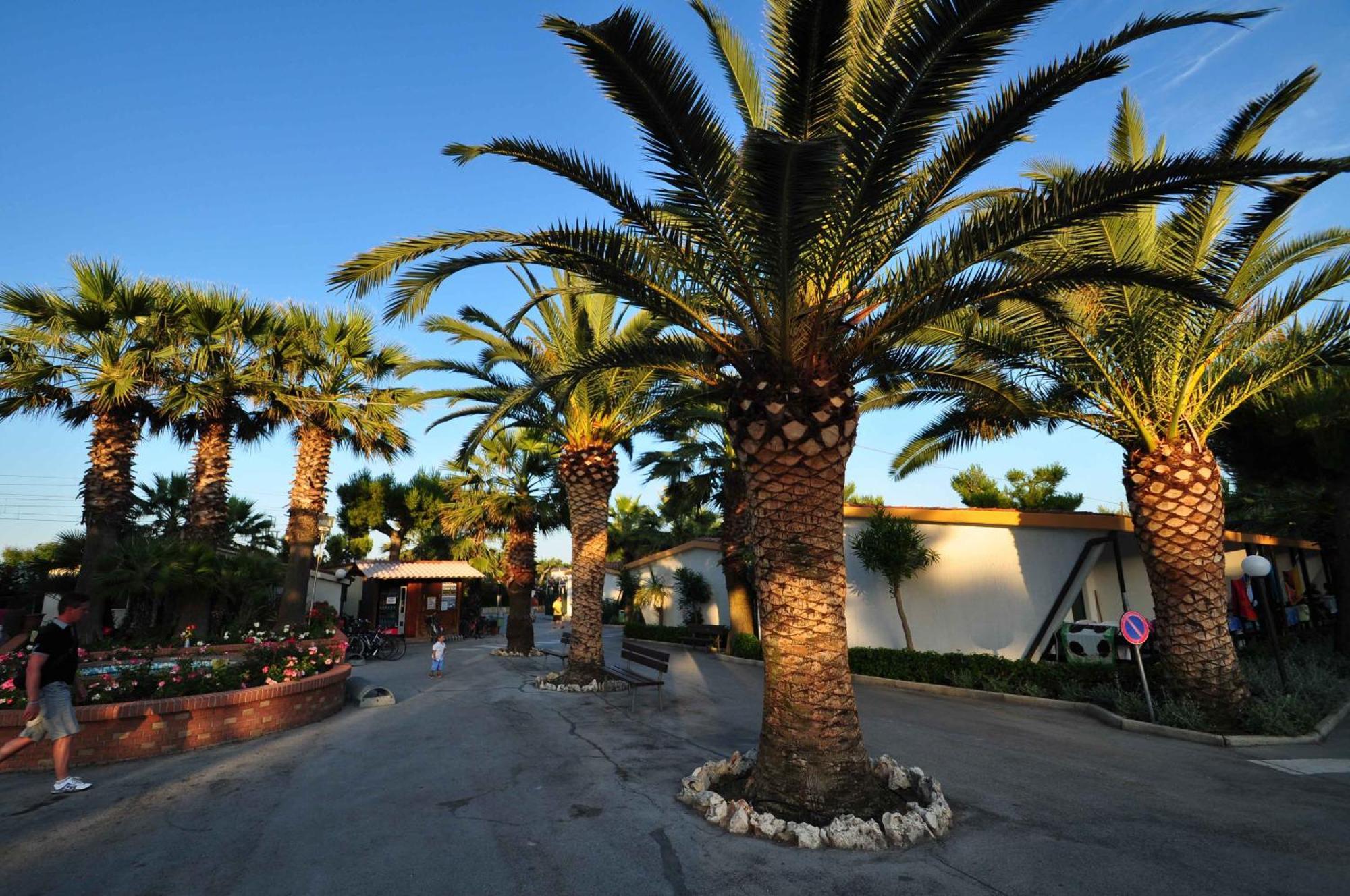Camping Villaggio Calypso Cupra Marittima Exteriér fotografie